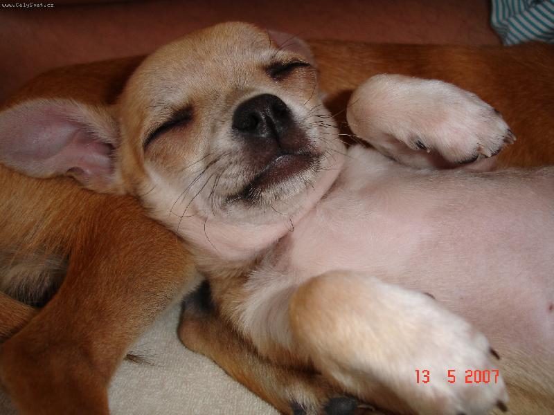 Foto: to je ale pohoda