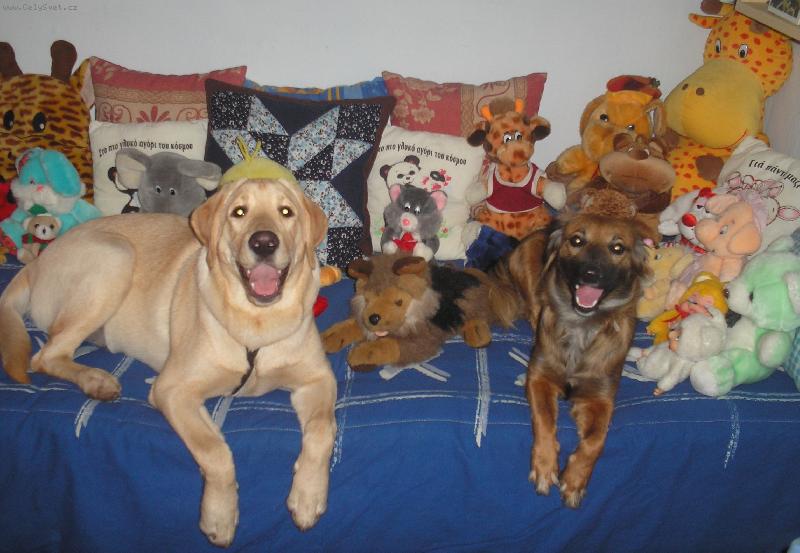 Foto: Britu�ka a Pegi