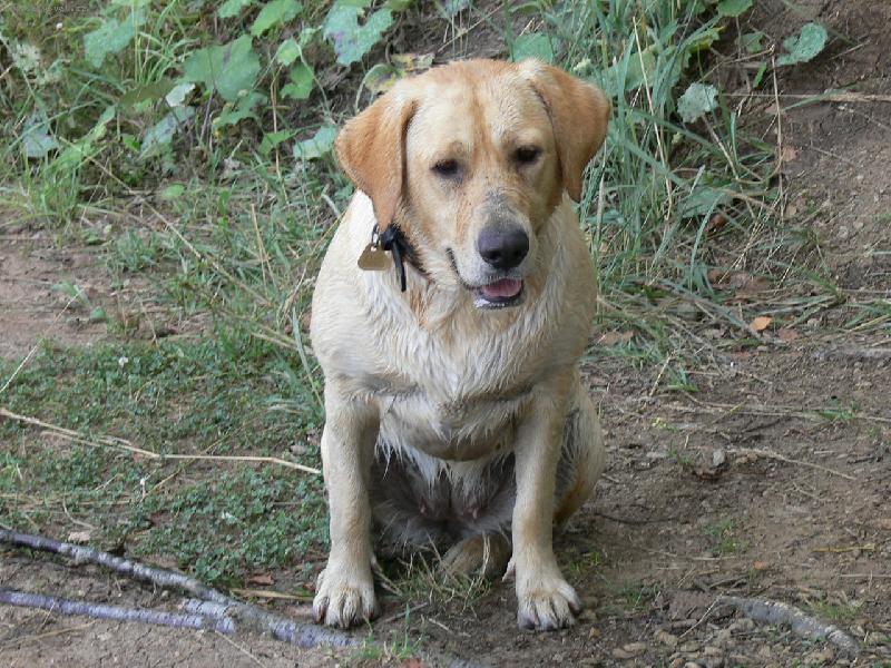 Foto: Nelly po rybolovu