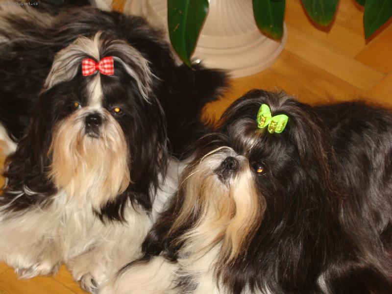 Foto: Mil��kov�-Tak nevotravuj dlouho