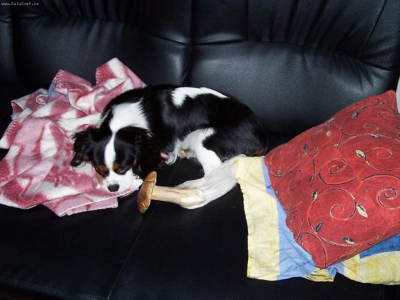 Foto: Lucky houba�il