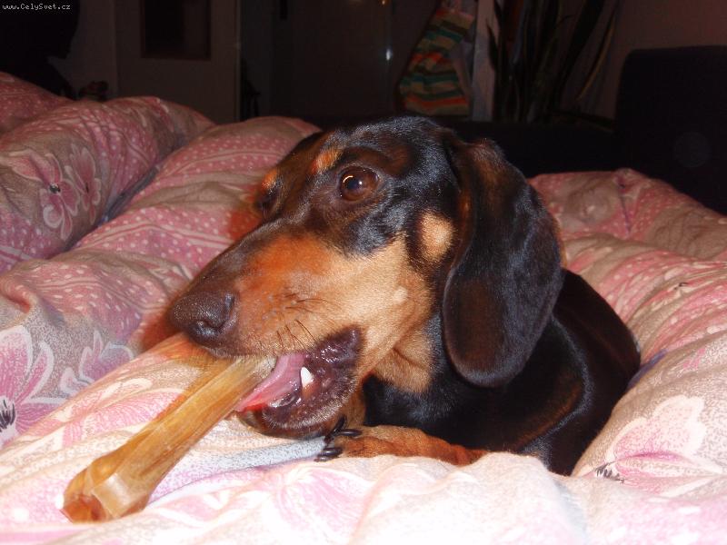 Foto: Heidi s "kosti�kou"-Buvol� kosti, to je ono..