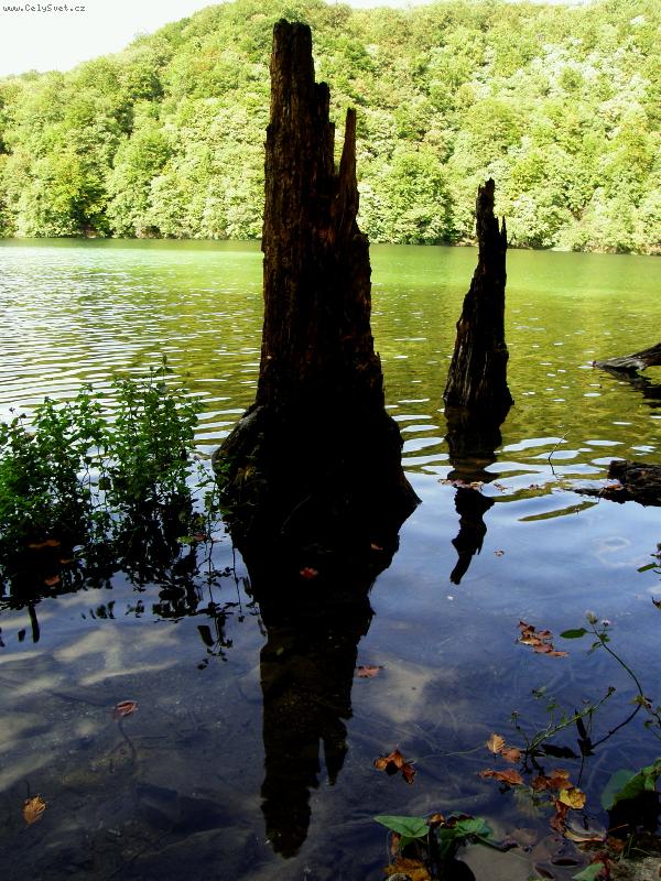 Foto: Plitvick� jezera-Ztrouchniv�l� kmen