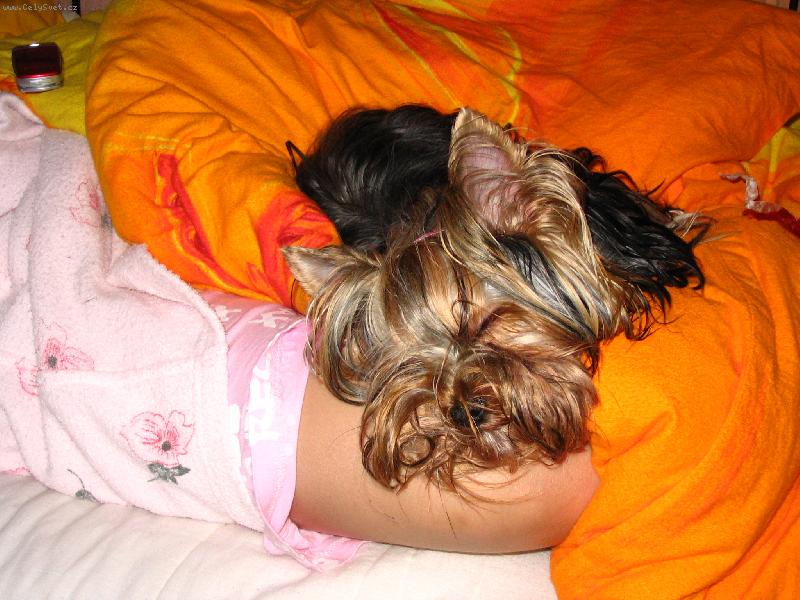 Foto: Medy sp�c�-Sp���m!