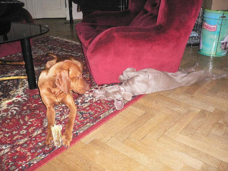 Foto: p�j�� mi to taky