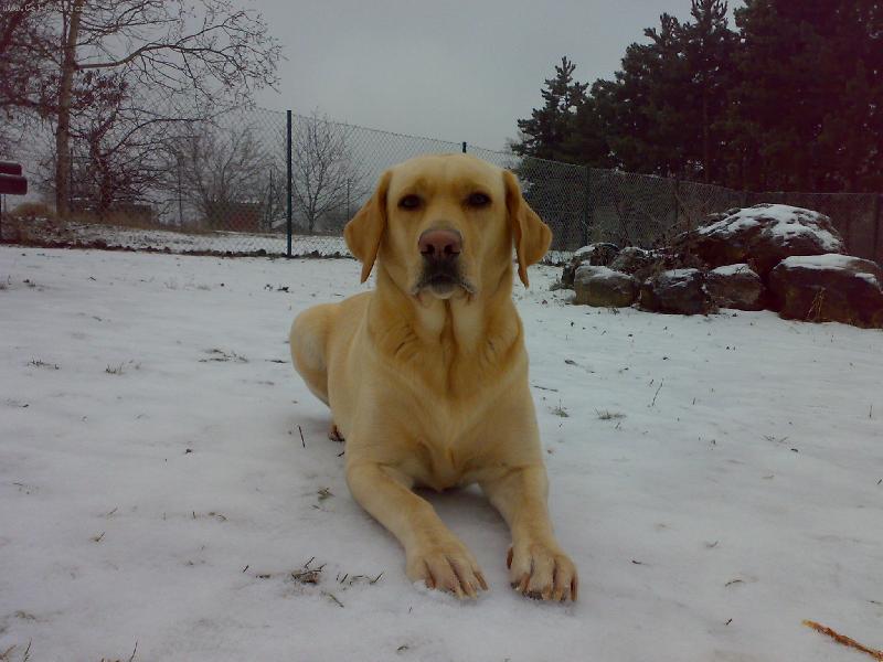 Foto: na oplocen�m v�bjehu-odpo�inek budouc� matky