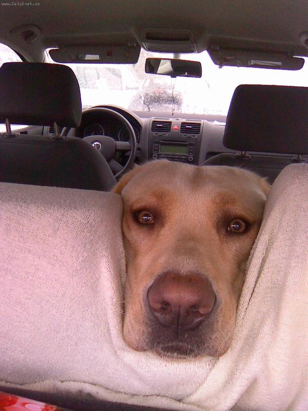 Foto: Na�e cestovatelka-tak u� poje�te dom�.