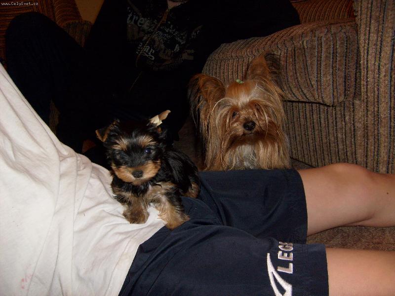 Foto: Monty a Ka�enka-spolu n�m je dob�e