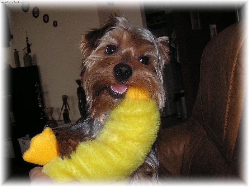 Foto: Mat�skova radost