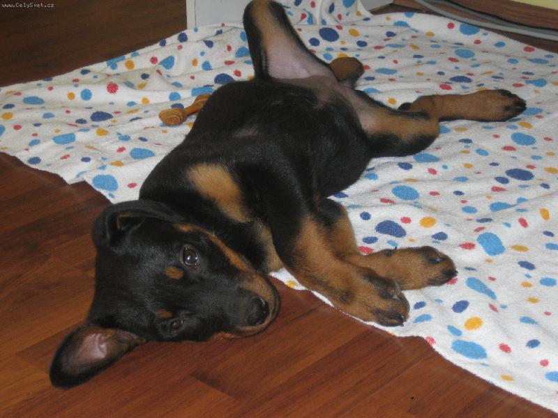 Foto: Paris-po dobr�m ob�d�..