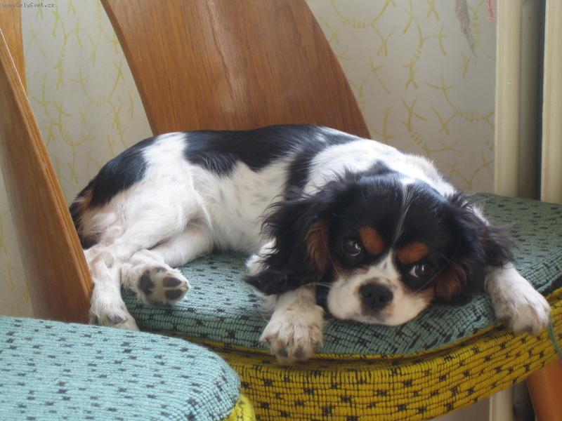 Foto: Ambra-Po��dn� odpo�inek po n�ro�n�m dni