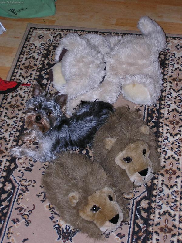 Foto: Mont�k-Nejv�rn�j�� k�mo�i