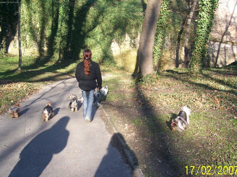 Foto: sraz�k na Pet��n�