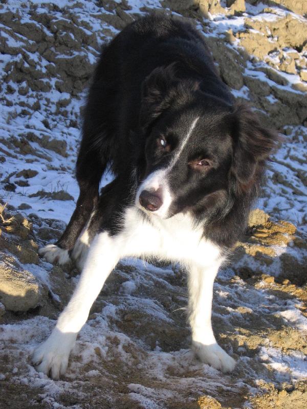 Foto: CArbi 2-A zase Carbi