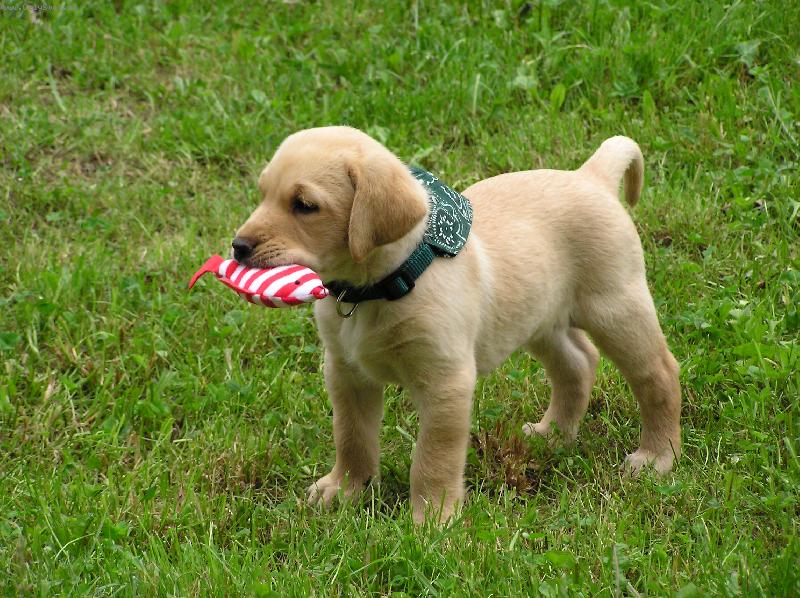 Foto: Andy(End�sek) 6ti t�denn�-Dnes jedu do sv�ho nov�ho domova