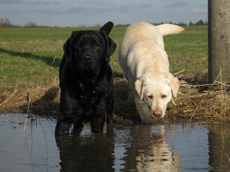 Foto: Hele je ta voda dobr�?-Andy s Bonnie