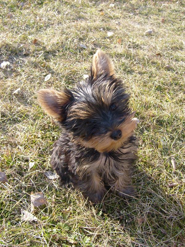 Foto: Ka�enka-venku je mi nejl�p