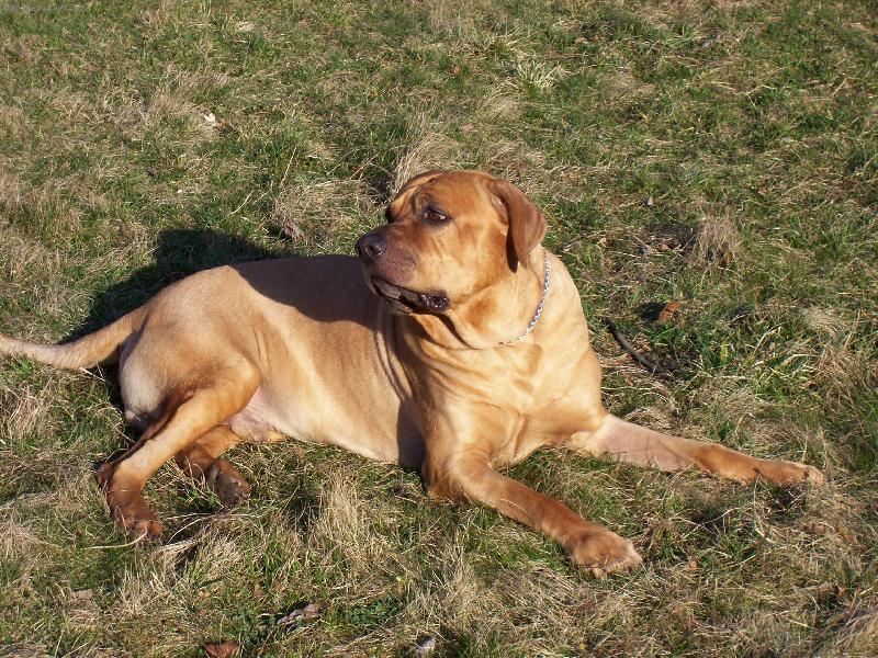 Foto: Cerry Schimko Rowen-N� mil��ek