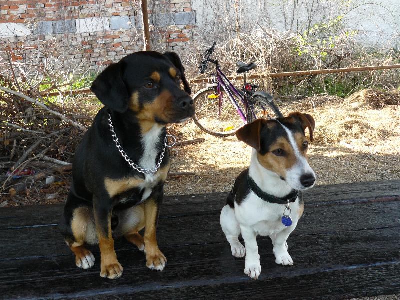 Foto: Bub�k