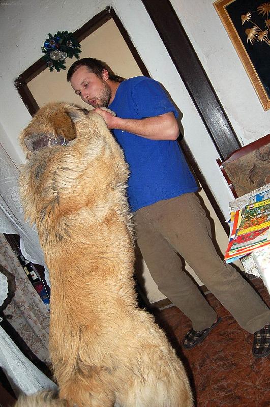 Foto: arch�-8 m�s�c� 77cm v kohoutku a 53 kg