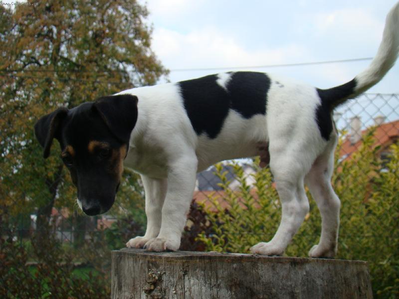 Foto: art-na pa�ezu