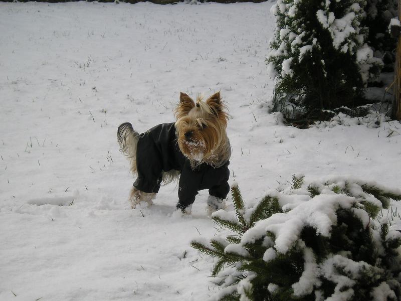 Foto: Jerry-Jork��rek Jerry