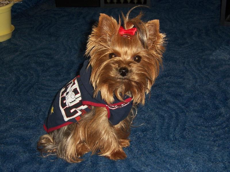 Foto: na�e Nikynka