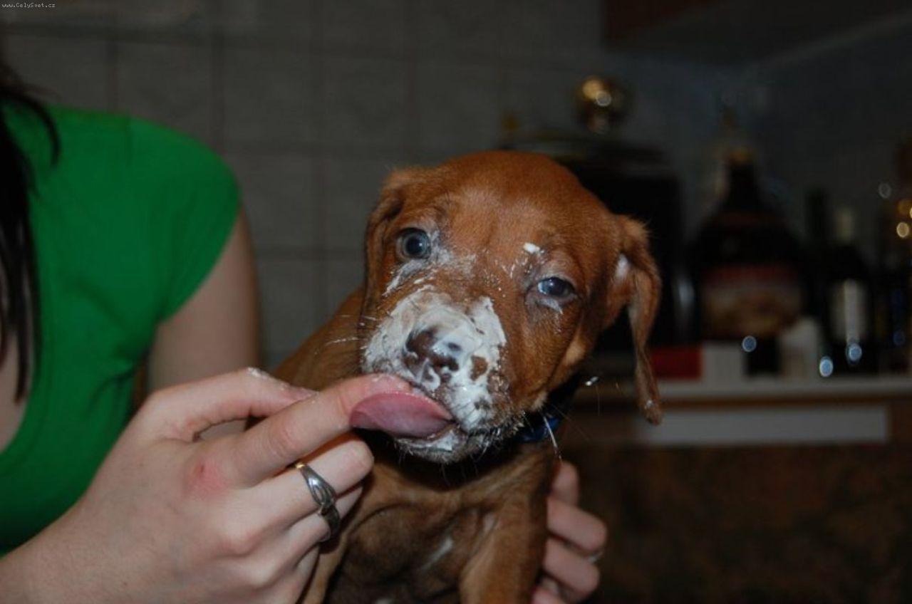 Foto: DAZZLING TAQ NERO