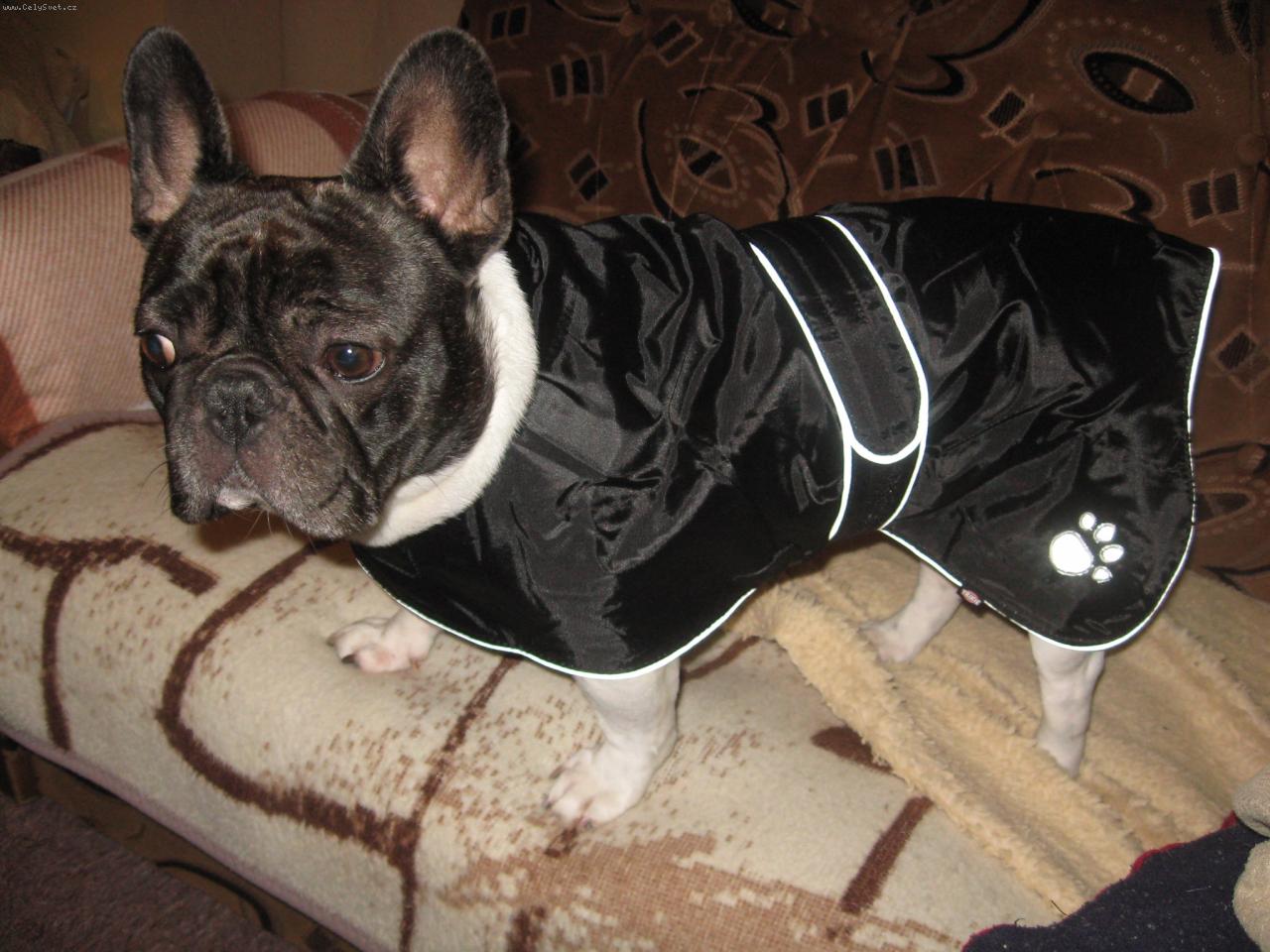 Foto: Manek�nka Andulka z D��iny-Nov� kab�tek do nepohody