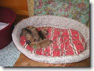 �arpej� miminka - 1 t�den