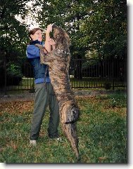 Baja O�echovsk� sk�la