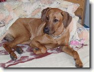 Odpo�inek v post�lce