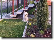 �mudl��ek jako mal� �t���tko