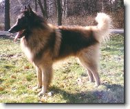 Dino Rudolfovsk skla CZ