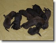 CBR po narozen�...)))