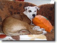 N�kdy m�m doma p�kn� leh�ro....