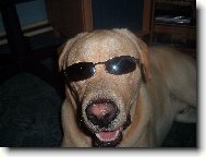 Amigo Filip z Hro�ky