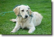 Anny a s�ka na rybi�ky