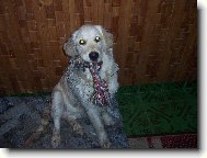 Kr�sn� �ist�