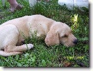 B�ra poprv� na v�let�