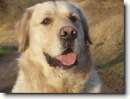 j� portr�t\\.\\.\\.\\.\\.