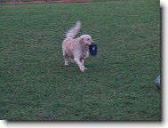 okr�d�m hlavn� fotbalisty\\.\\.\\.