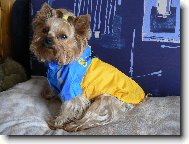 Ad�lka v pl�t�nce