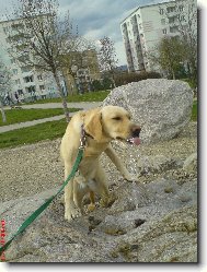 ��zn�v� B�ra