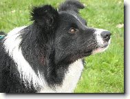 Hledame sourozence narozeny 31.5. ve Vid�i - bez PP