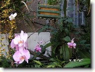 Anonym - tepl� sklen�k