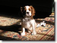 Tak tohle je na�e nov� �t���tko