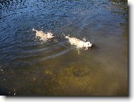 A �e t� chyt�m