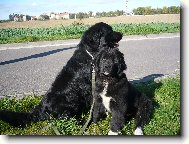 na�i dva NF kluci, Hagi a Indy