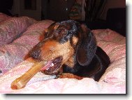 Heidi s "kosti�kou"